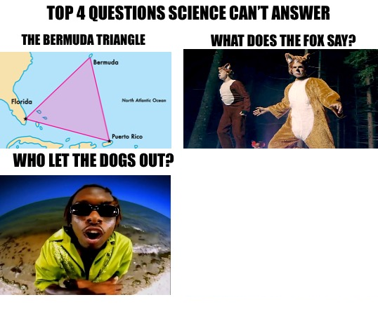 High Quality top 4 questions Blank Meme Template