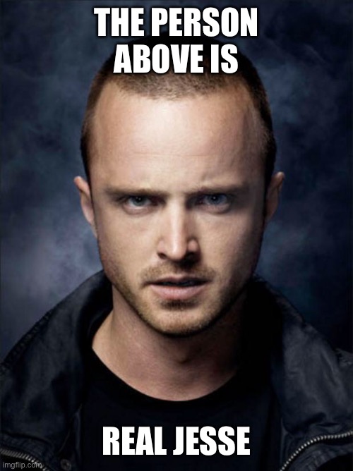 Jesse real | THE PERSON ABOVE IS; REAL JESSE | image tagged in jesse pinkman | made w/ Imgflip meme maker