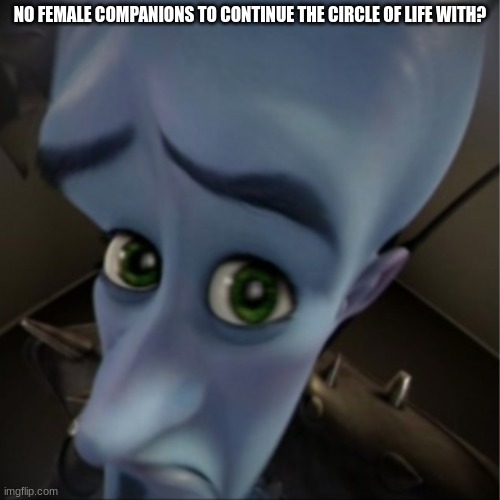 Megamind peeking | NO FEMALE COMPANIONS TO CONTINUE THE CIRCLE OF LIFE WITH? | image tagged in megamind peeking | made w/ Imgflip meme maker