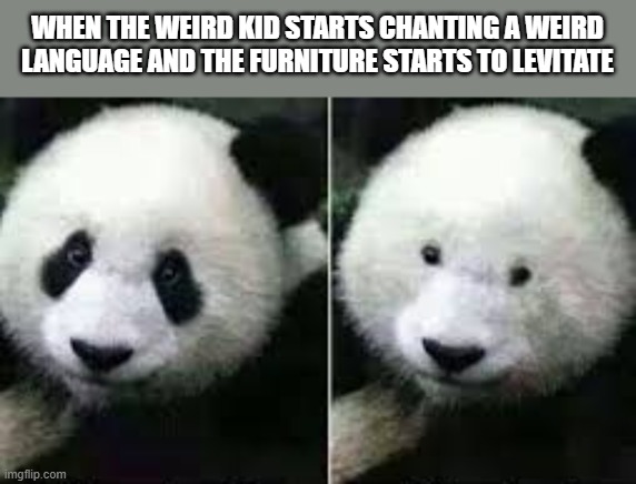 PANDA SIN RIMEL | WHEN THE WEIRD KID STARTS CHANTING A WEIRD LANGUAGE AND THE FURNITURE STARTS TO LEVITATE | image tagged in panda sin rimel | made w/ Imgflip meme maker