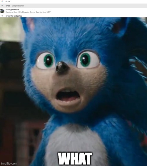 WHAT | image tagged in sonic movie | made w/ Imgflip meme maker