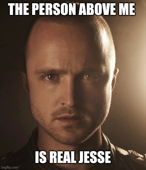 Jesse | THE PERSON ABOVE ME IS REAL JESSE | image tagged in jesse | made w/ Imgflip meme maker