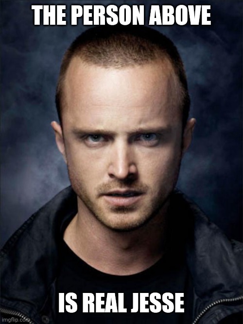 Jesse Pinkman | THE PERSON ABOVE; IS REAL JESSE | image tagged in jesse pinkman | made w/ Imgflip meme maker