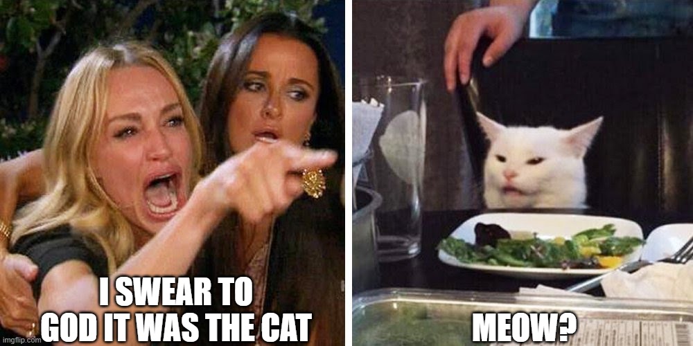 IT WAS THE CATS FAULT | I SWEAR TO GOD IT WAS THE CAT; MEOW? | image tagged in smudge the cat,cats,cry | made w/ Imgflip meme maker