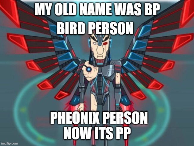 rick and morty pheonix person |  MY OLD NAME WAS BP; BIRD PERSON; NOW ITS PP; PHEONIX PERSON | image tagged in birds,person,rick and morty | made w/ Imgflip meme maker