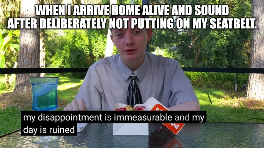 2me4me | WHEN I ARRIVE HOME ALIVE AND SOUND AFTER DELIBERATELY NOT PUTTING ON MY SEATBELT. | image tagged in my disappointment is immeasurable | made w/ Imgflip meme maker