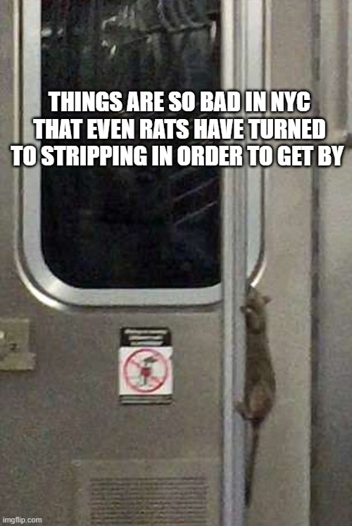 Rats turn to strippers in NYC | THINGS ARE SO BAD IN NYC THAT EVEN RATS HAVE TURNED TO STRIPPING IN ORDER TO GET BY | image tagged in f eric adams | made w/ Imgflip meme maker