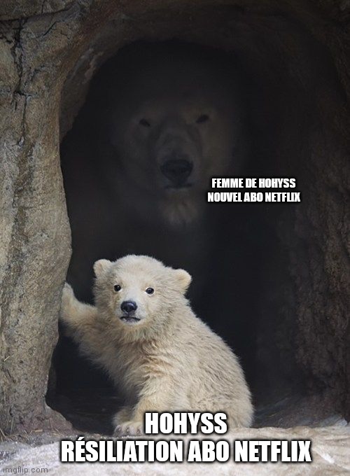 Polar Bear Surprise | FEMME DE HOHYSS
NOUVEL ABO NETFLIX; HOHYSS
RÉSILIATION ABO NETFLIX | image tagged in polar bear surprise | made w/ Imgflip meme maker