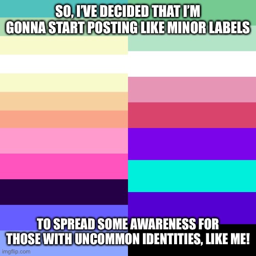 What do you guys think of it? | SO, I’VE DECIDED THAT I’M GONNA START POSTING LIKE MINOR LABELS; TO SPREAD SOME AWARENESS FOR THOSE WITH UNCOMMON IDENTITIES, LIKE ME! | made w/ Imgflip meme maker