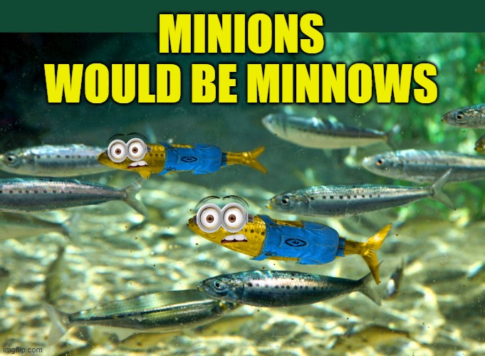 MINIONS WOULD BE MINNOWS | made w/ Imgflip meme maker