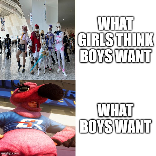 What girls think boys want | WHAT GIRLS THINK BOYS WANT; WHAT BOYS WANT | image tagged in drake blank | made w/ Imgflip meme maker
