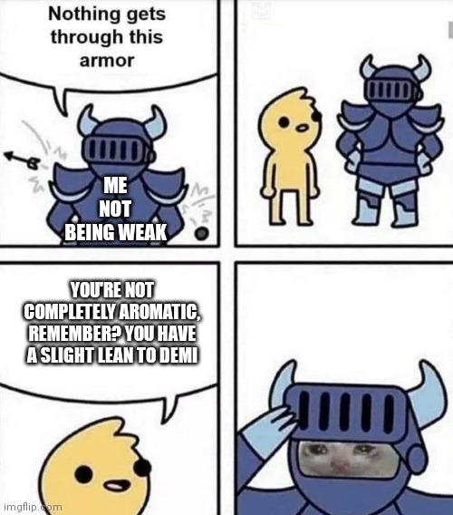 nothing gets through this armor | ME NOT BEING WEAK YOU'RE NOT COMPLETELY AROMATIC, REMEMBER? YOU HAVE A SLIGHT LEAN TO DEMI | image tagged in nothing gets through this armor | made w/ Imgflip meme maker