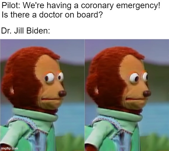 Do you have any student retention emergencies? | Pilot: We're having a coronary emergency! 
Is there a doctor on board? Dr. Jill Biden: | image tagged in puppet monkey looking away | made w/ Imgflip meme maker