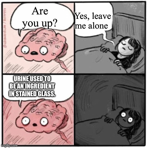 Fackts | Yes, leave me alone; Are you up? URINE USED TO BE AN INGREDIENT IN STAINED GLASS. | image tagged in brain before sleep | made w/ Imgflip meme maker