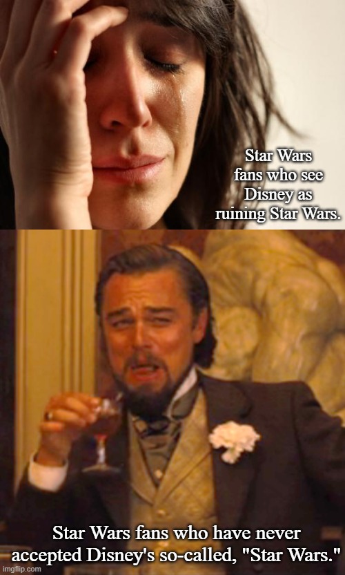 To Disney or not to Disney? | Star Wars fans who see Disney as ruining Star Wars. Star Wars fans who have never accepted Disney's so-called, "Star Wars." | image tagged in memes,first world problems,laughing leo,star wars | made w/ Imgflip meme maker