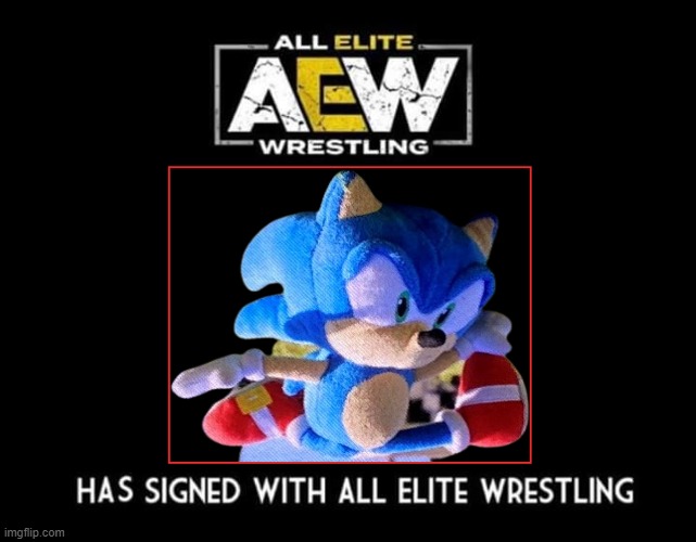 SAWNIC IS ALL ELITE | image tagged in aew,sonic the hedgehog | made w/ Imgflip meme maker