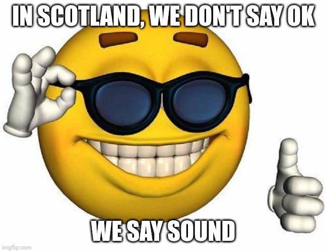 Thumbs Up Emoji | IN SCOTLAND, WE DON'T SAY OK; WE SAY SOUND | image tagged in thumbs up emoji | made w/ Imgflip meme maker