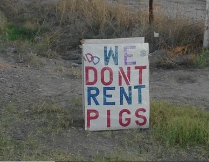 High Quality we don't rent pigs Blank Meme Template