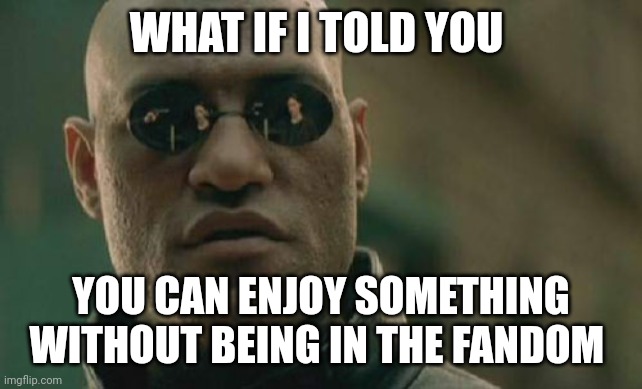 Matrix Morpheus |  WHAT IF I TOLD YOU; YOU CAN ENJOY SOMETHING WITHOUT BEING IN THE FANDOM | image tagged in memes,matrix morpheus | made w/ Imgflip meme maker