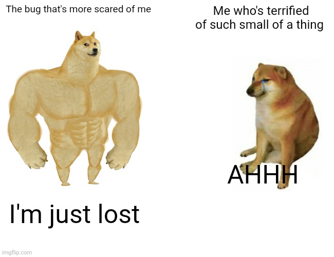 HELPpppPp | The bug that's more scared of me; Me who's terrified of such small of a thing; AHHH; I'm just lost | image tagged in memes,buff doge vs cheems,bugs,scary,help me | made w/ Imgflip meme maker
