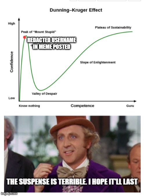 Wonka on Dunning Kruger Idiots | REDACTED USERNAME IN MEME POSTED | image tagged in wonka on dunning kruger idiots | made w/ Imgflip meme maker