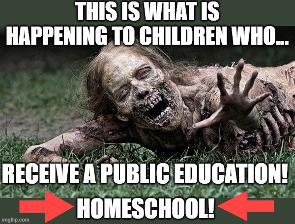Rotting Away Before Your Eyes | THIS IS WHAT IS HAPPENING TO CHILDREN WHO... RECEIVE A PUBLIC EDUCATION! HOMESCHOOL! | image tagged in walking dead zombie,homeschool,memes,so true memes,education,school | made w/ Imgflip meme maker