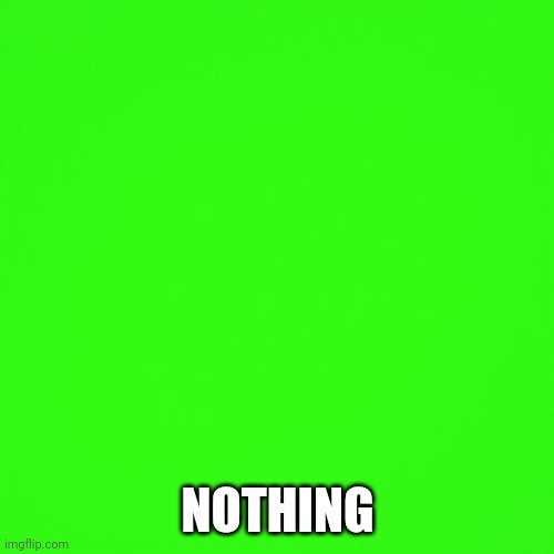 green screen | NOTHING | image tagged in green screen | made w/ Imgflip meme maker