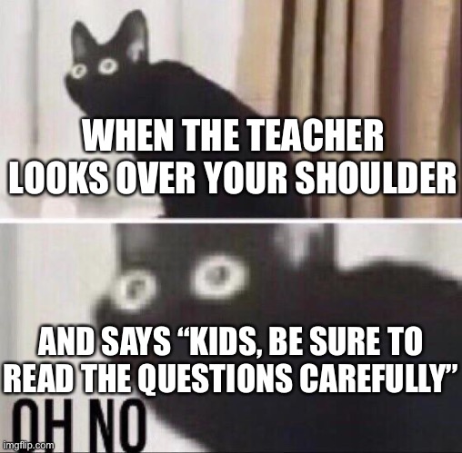 Oh no | WHEN THE TEACHER LOOKS OVER YOUR SHOULDER; AND SAYS “KIDS, BE SURE TO READ THE QUESTIONS CAREFULLY” | image tagged in oh no cat,school | made w/ Imgflip meme maker