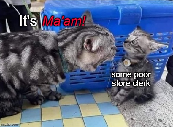 How dare you | Ma'am! It's; some poor store clerk | made w/ Imgflip meme maker