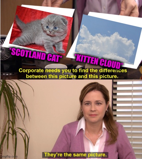 -Kitten cloud. | *SCOTLAND CAT*; *KITTEN CLOUD* | image tagged in memes,they're the same picture,cute kittens,scotland,totally looks like,clouds | made w/ Imgflip meme maker