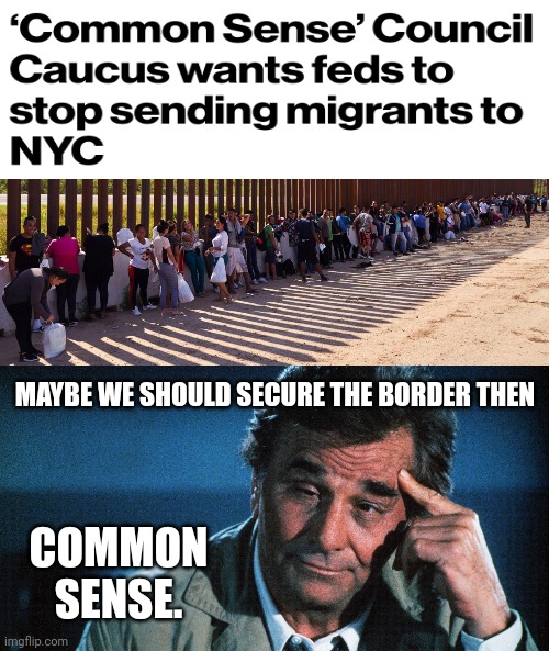 Common sense says so. | COMMON SENSE. MAYBE WE SHOULD SECURE THE BORDER THEN | image tagged in memes | made w/ Imgflip meme maker