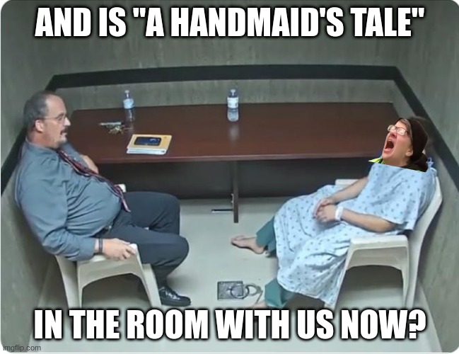 But We'Re iN a HaNDmAiD'S TaLE!!!!!!1!1 | AND IS "A HANDMAID'S TALE"; IN THE ROOM WITH US NOW? | image tagged in is x in the room with us right now | made w/ Imgflip meme maker