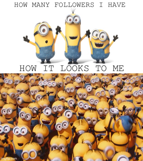 HOW MANY FOLLOWERS I HAVE; HOW IT LOOKS TO ME | image tagged in minions | made w/ Imgflip meme maker