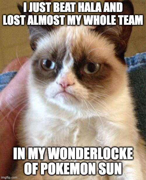 I have no fun lol | I JUST BEAT HALA AND LOST ALMOST MY WHOLE TEAM; IN MY WONDERLOCKE OF POKEMON SUN | image tagged in memes,grumpy cat | made w/ Imgflip meme maker