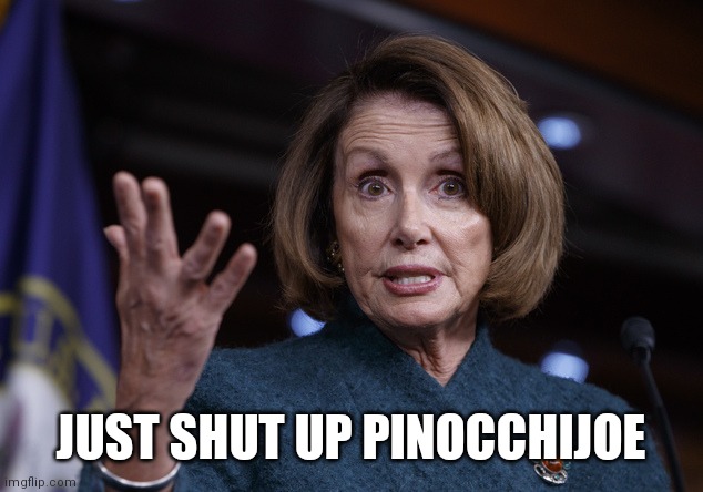 Good old Nancy Pelosi | JUST SHUT UP PINOCCHIJOE | image tagged in good old nancy pelosi | made w/ Imgflip meme maker