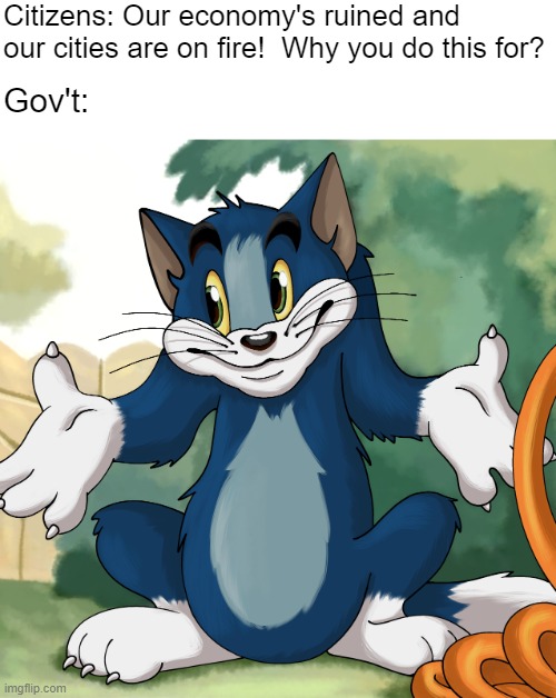 I assumed I knew what I was doing | Citizens: Our economy's ruined and our cities are on fire!  Why you do this for? Gov't: | made w/ Imgflip meme maker