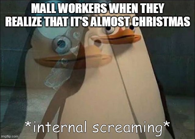 If u don't get it, u don't. | MALL WORKERS WHEN THEY REALIZE THAT IT'S ALMOST CHRISTMAS | image tagged in private internal screaming | made w/ Imgflip meme maker