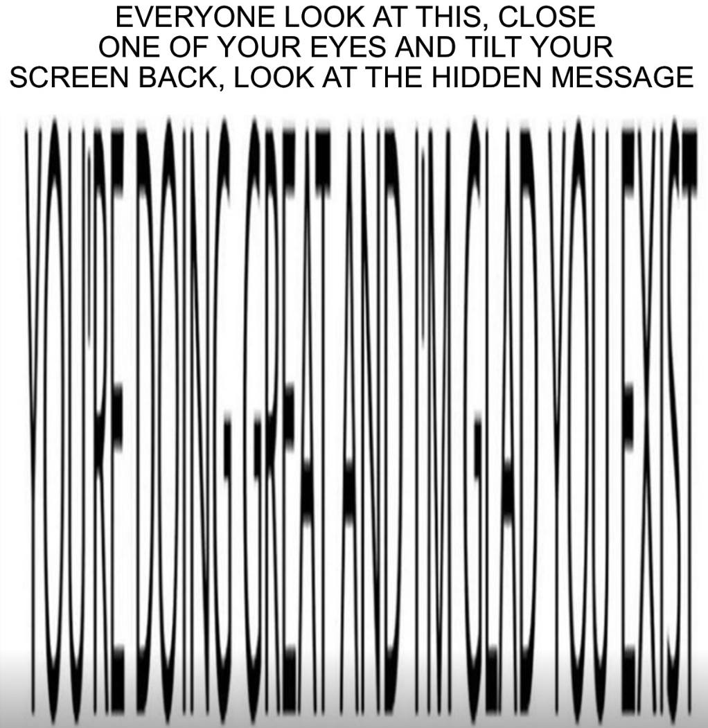 Wholesome Optical Illusion Blank Meme Template