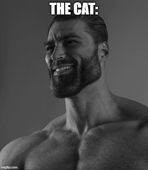 Giga Chad | THE CAT: | image tagged in giga chad | made w/ Imgflip meme maker