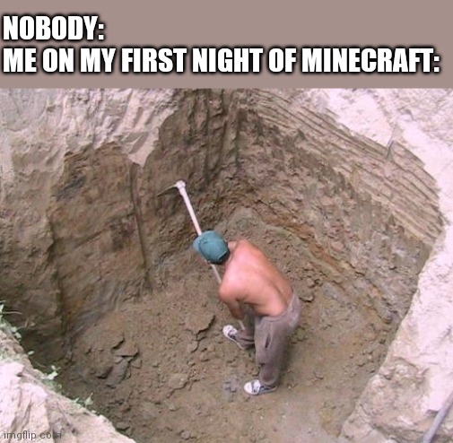 Dig a Hole | NOBODY:
ME ON MY FIRST NIGHT OF MINECRAFT: | image tagged in dig a hole | made w/ Imgflip meme maker