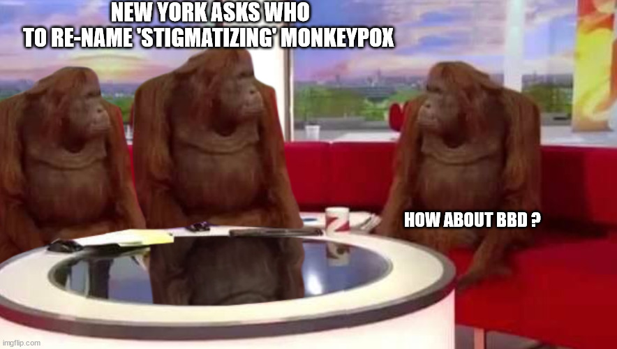 Renaming 'Monkeypox' | NEW YORK ASKS WHO
 TO RE-NAME 'STIGMATIZING' MONKEYPOX; HOW ABOUT BBD ? | image tagged in where monkey,monkeypox,political correctness,politics | made w/ Imgflip meme maker