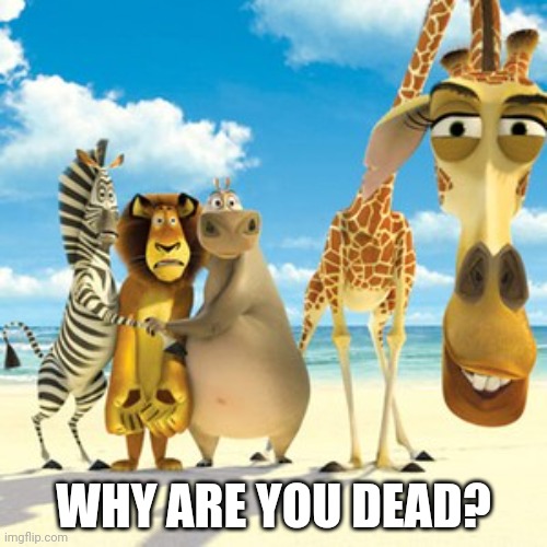 @chat | WHY ARE YOU DEAD? | image tagged in why are you white | made w/ Imgflip meme maker