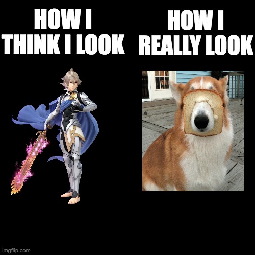 Blank |  HOW I REALLY LOOK; HOW I THINK I LOOK | image tagged in blank | made w/ Imgflip meme maker