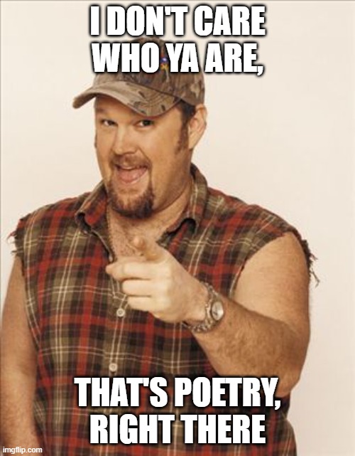 that's pure poetry | I DON'T CARE WHO YA ARE, THAT'S POETRY, RIGHT THERE | image tagged in larry the cable guy | made w/ Imgflip meme maker