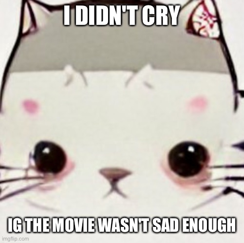 I need to watch your lie in april or smth | I DIDN'T CRY; IG THE MOVIE WASN'T SAD ENOUGH | image tagged in hoes zad | made w/ Imgflip meme maker