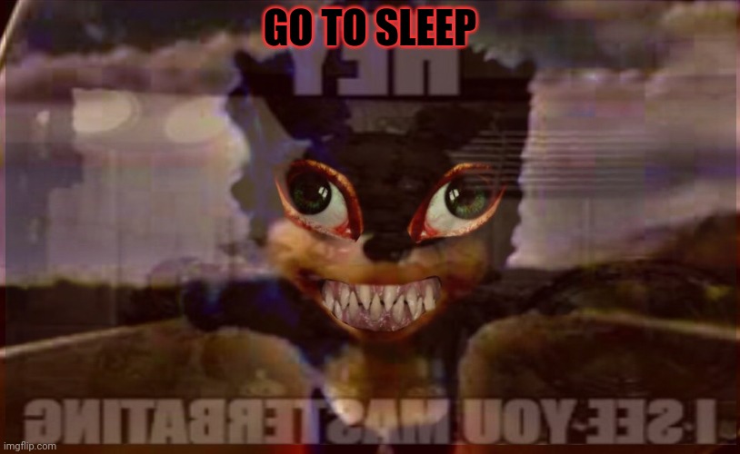 No. This is not ok. | GO TO SLEEP | image tagged in this is not okie dokie,sonicexe,cursed,sonic | made w/ Imgflip meme maker
