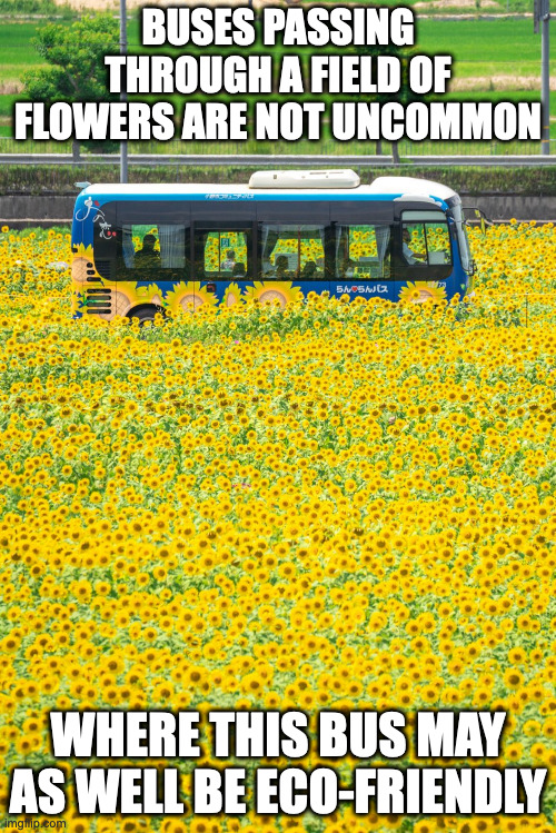 Bus Passing Through Sunflower Field | BUSES PASSING THROUGH A FIELD OF FLOWERS ARE NOT UNCOMMON; WHERE THIS BUS MAY AS WELL BE ECO-FRIENDLY | image tagged in bus,memes | made w/ Imgflip meme maker