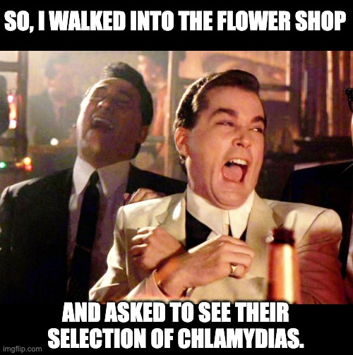 Flower | SO, I WALKED INTO THE FLOWER SHOP; AND ASKED TO SEE THEIR SELECTION OF CHLAMYDIAS. | image tagged in memes,good fellas hilarious | made w/ Imgflip meme maker