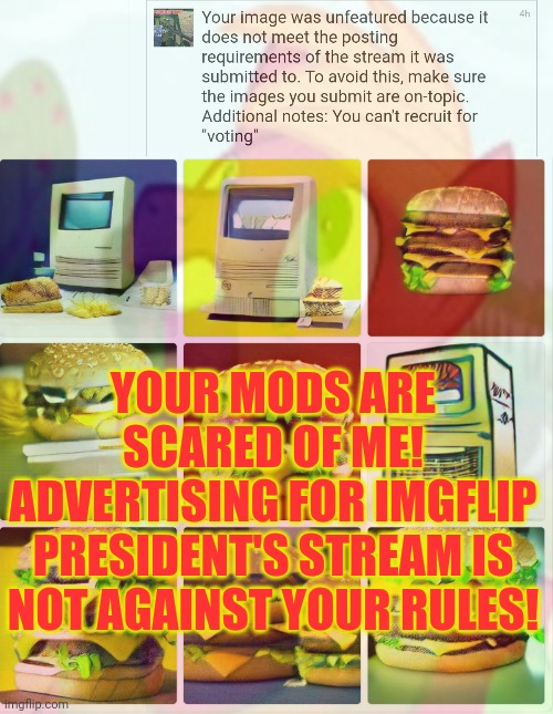 Scared of my memes? | YOUR MODS ARE SCARED OF ME! ADVERTISING FOR IMGFLIP PRESIDENT'S STREAM IS NOT AGAINST YOUR RULES! | image tagged in surlykong,did,no,wrong | made w/ Imgflip meme maker