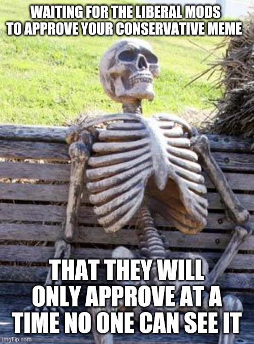 Memes they dont like they hide, its not sneaky | WAITING FOR THE LIBERAL MODS TO APPROVE YOUR CONSERVATIVE MEME; THAT THEY WILL ONLY APPROVE AT A TIME NO ONE CAN SEE IT | image tagged in memes,waiting skeleton | made w/ Imgflip meme maker